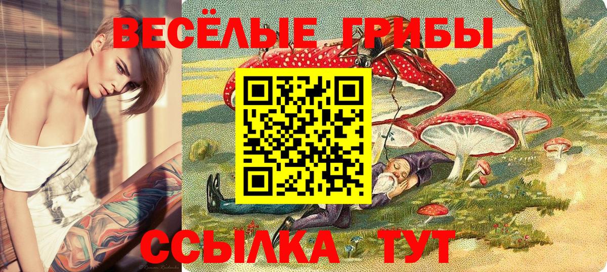 Железногорск  Галлюциногенные грибы Psilocybe  Вход с VPN  Псилоцибиновые грибы Cubensis 