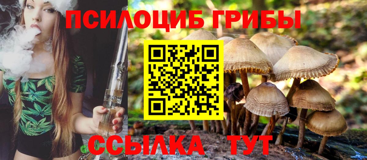 Псилоцибиновые грибы MAGIC MUSHROOMS Железногорск